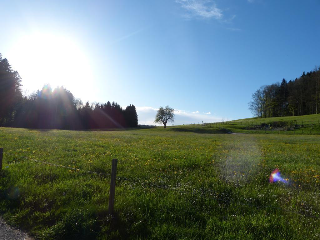 Landgasthof Santisblick Hotel Abtwil ภายนอก รูปภาพ